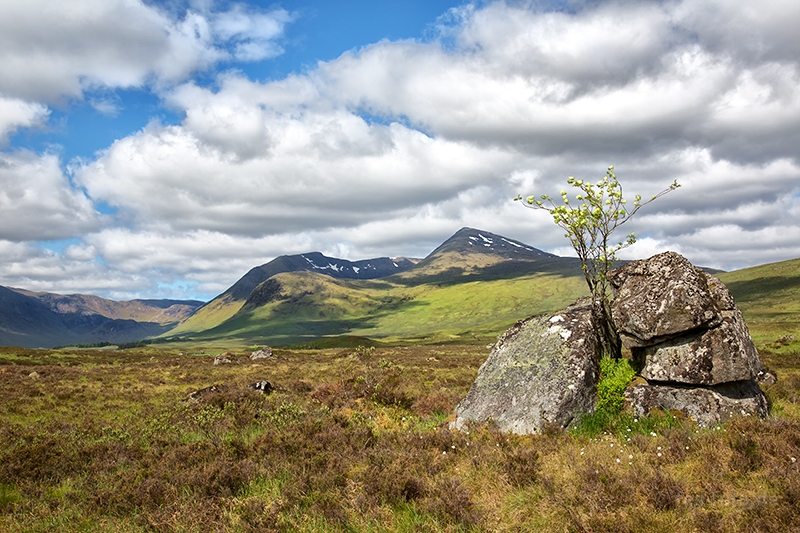 Rannoch Moor